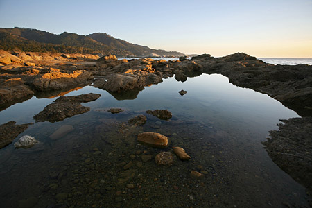 Weston BeachPoint Lobos, California