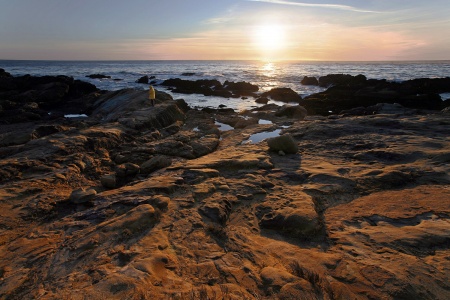 Weston BeachPoint Lobos, California