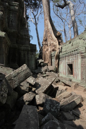Ta Prohm
Angkor, Cambodia