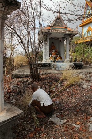 Broom Making NunPhnom Sampeau, Cambodia