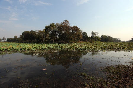  Moat from NorthwestBantey Chmar, Cambodia