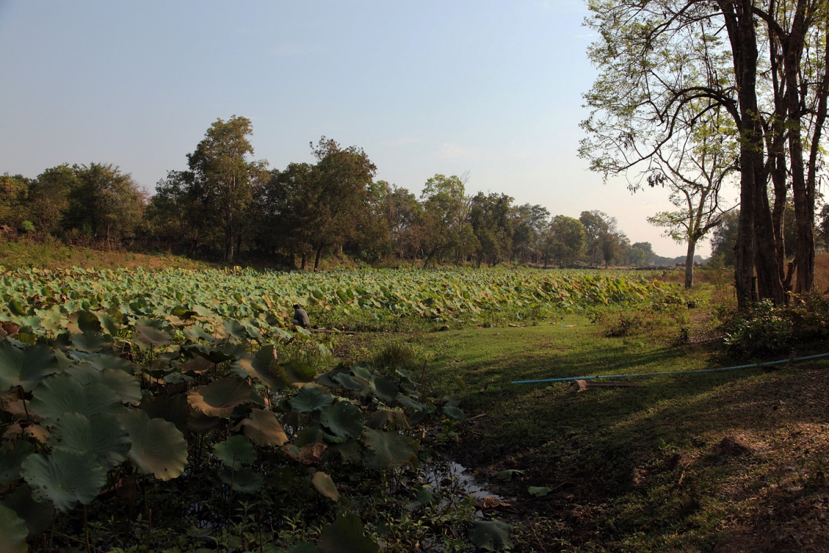bill-hocker-eastern-moat-bantey-chmar-cambodia-2010