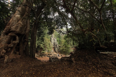 Forest Gate, Angkor ThomAngkor, Cambodia