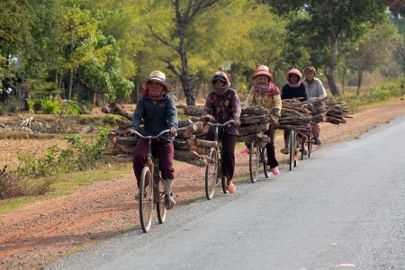 Firewood for the Kilns
Highway 5, Cambodia