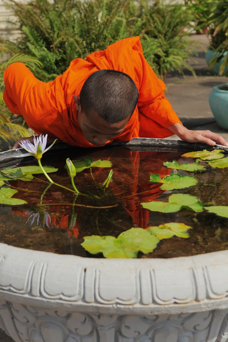 bill-hocker-fish-hunting-royal-palace-phnom-penh-cambodia-2010