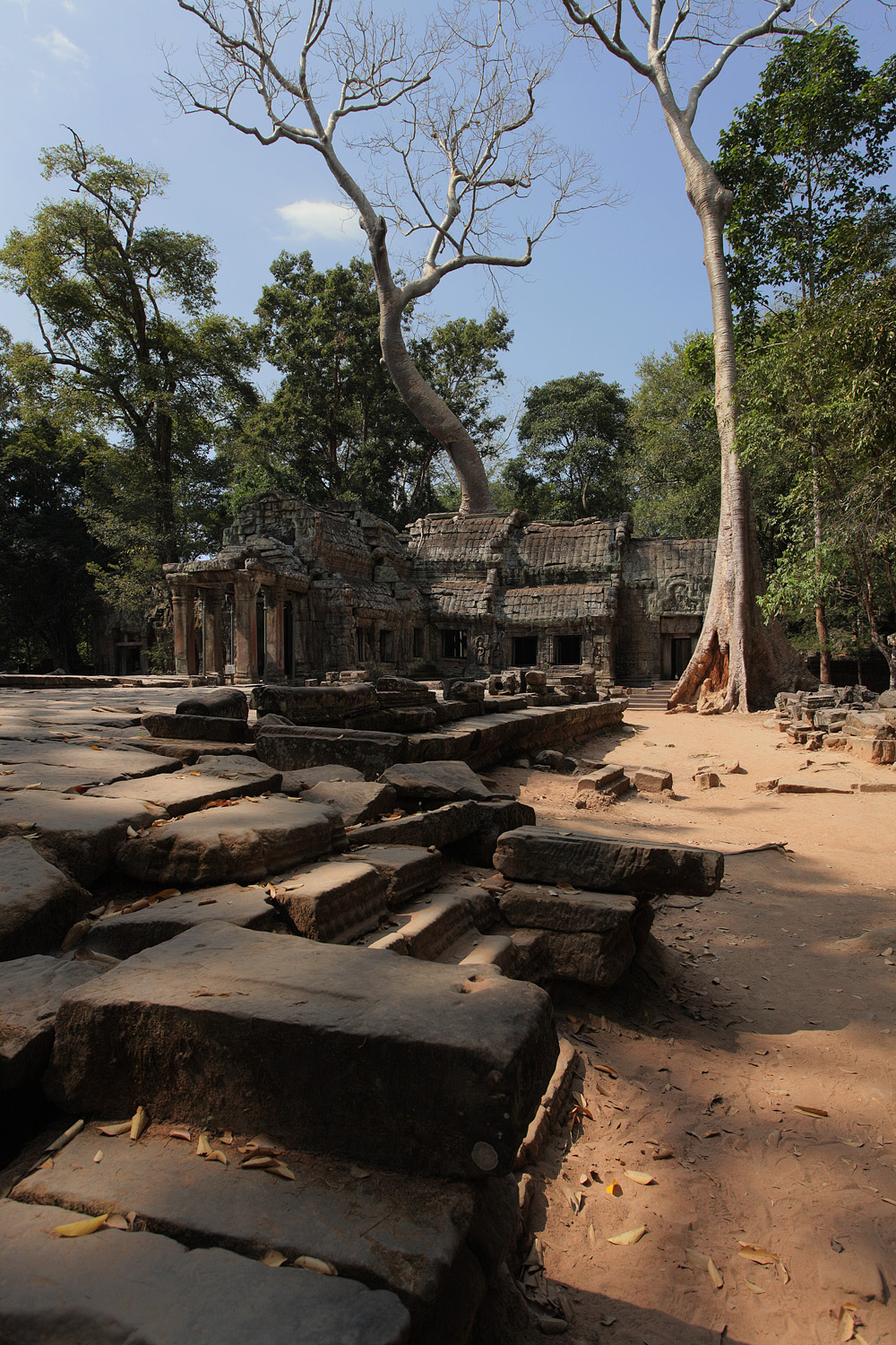 bill-hocker-entry-ta-prohm-angkor-cambodia-2010