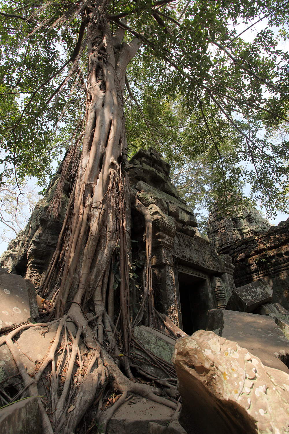 bill-hocker-ta-prohm-ankor-cambodia-2010