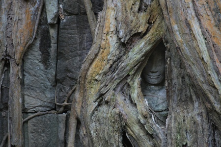 Face, Preah KhanAngkor, Cambodia