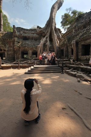Ta ProhmAngkor, Cambodia