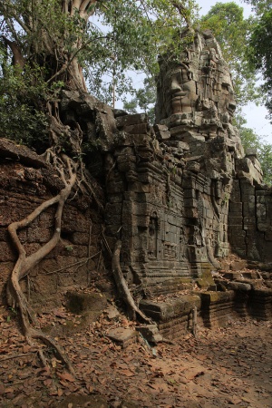 North Entry, Ta ProhmAngkor, Cambodia