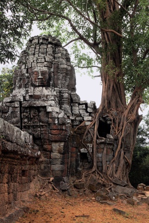Ta SomAngkor, Cambodia
