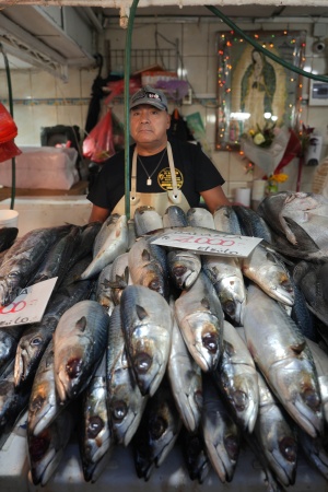Fish Vendor
Mercado Central
Santiago, Chile