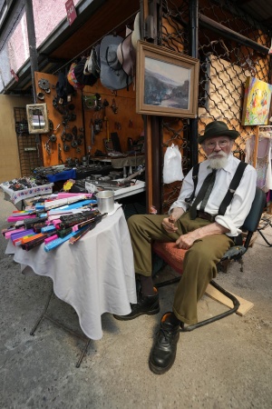 Vendor
Victor Manuel Bazaar 
Santiago, Chile