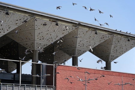 Mercado Tirso de Molina
Santiago, Chile