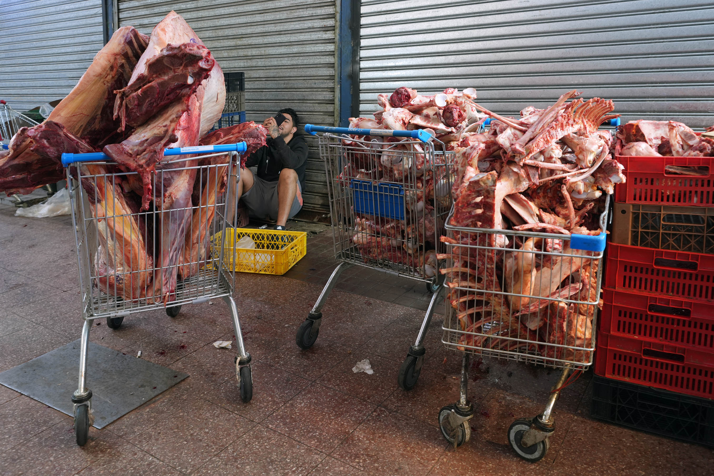 bill-hocker-mercado-matadero-franklin-santiago-chile-2024