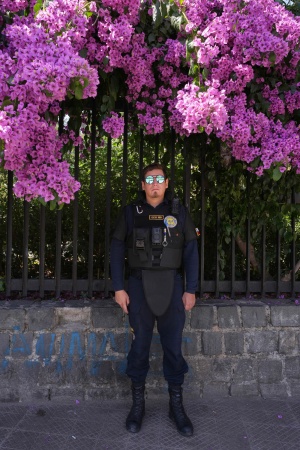 Security
Metropolitan Park
Santiago, Chile