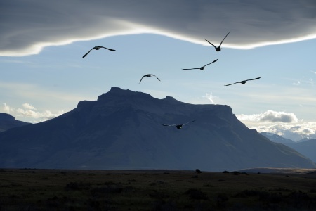 Approaching Torres del Paine National Park
Patagonia, Chile