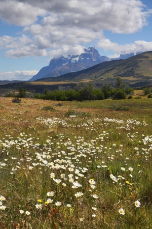 Paine Grande from
Explora Conservation Area
Patagonia, Argentina
