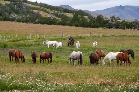 Explora Conservation Area
Patagonia, Chile