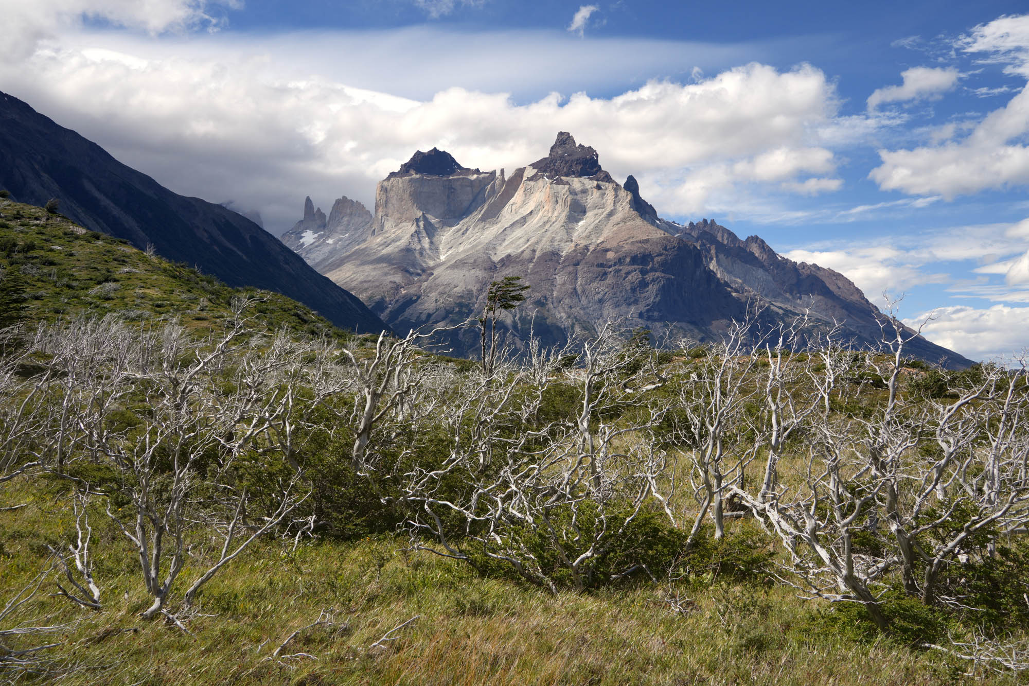 bill-hocker-french-valley-trail-torres-del-paine-national-park-patagonia-chile-2025