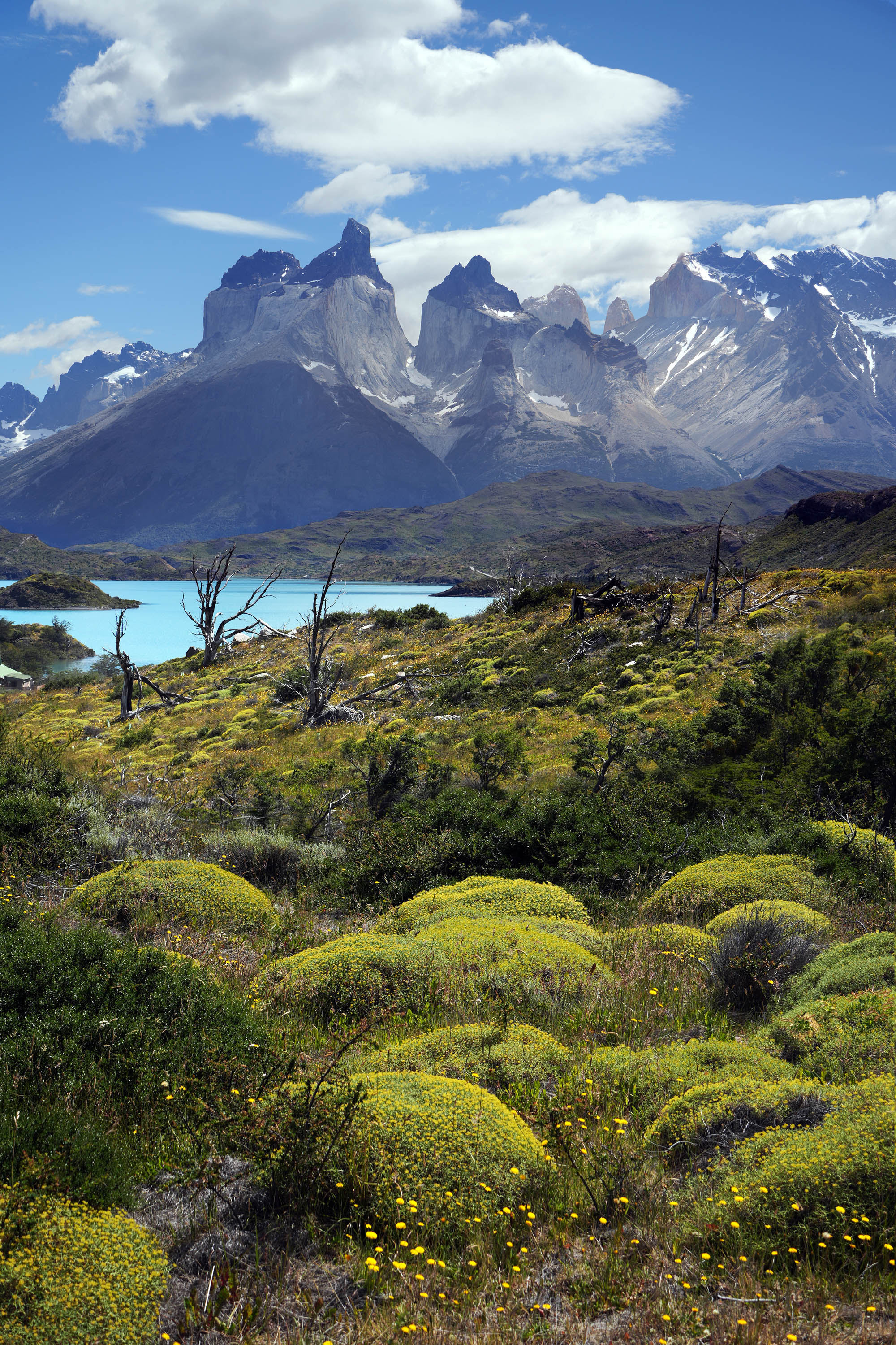 bill-hocker-torres-del-paine-national-park-patagonia-chile-2025
