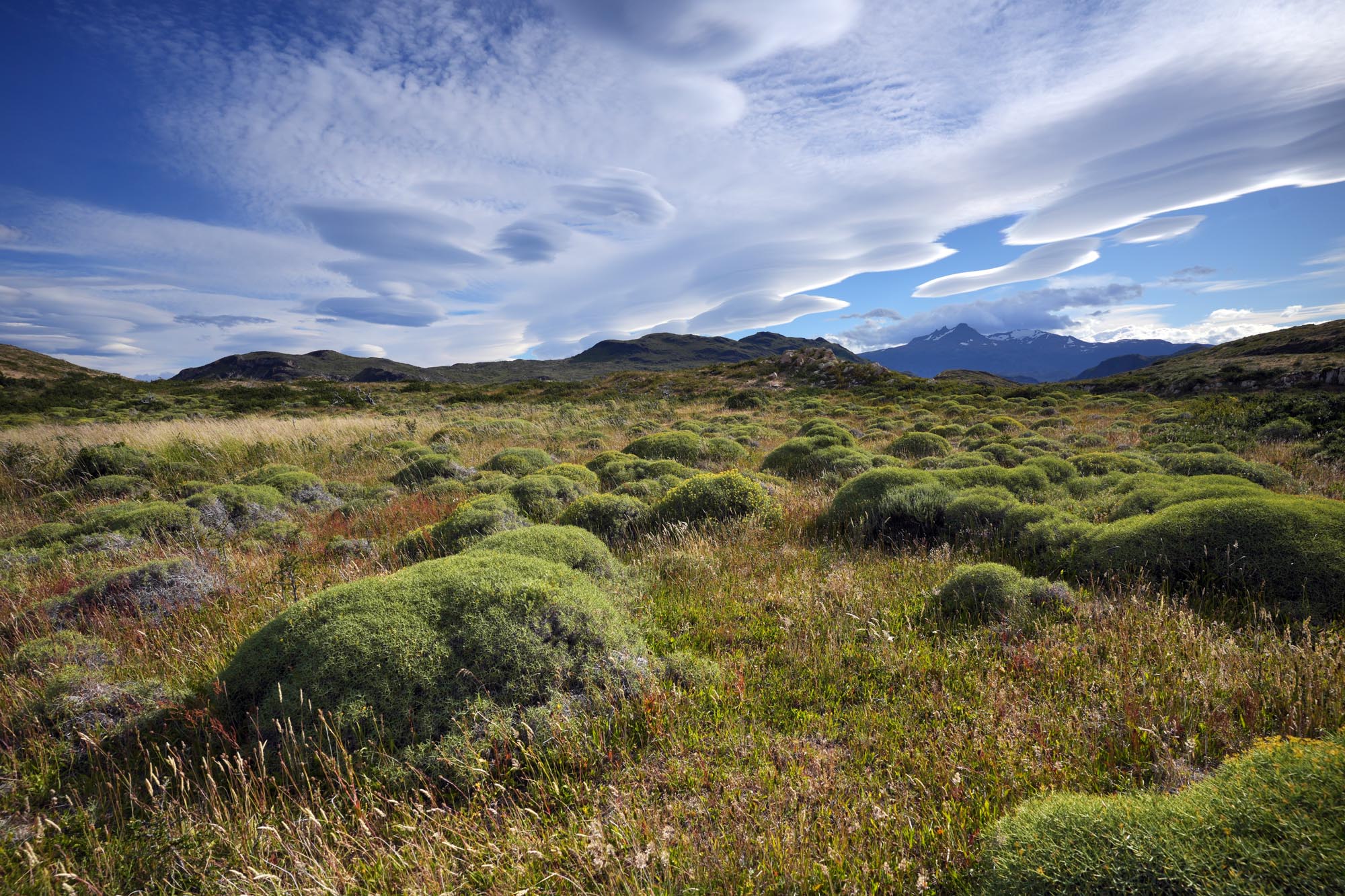 bill-hocker-nordernskjöld-trail-torres-del-paine-national-park-patagonia-chile-2025
