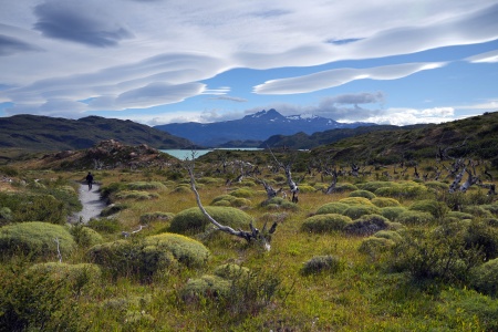 Nordernskjöld Trail
Torres Del Paine National Park
Patagonia, Chile