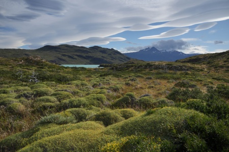 Nordernskjöld Trail
Torres Del Paine National Park
Patagonia, Chile