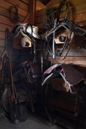 Conservation Area Stable