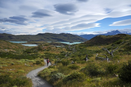 Nordernskjöld Trail
Torres Del Paine National Park
Patagonia, Chile