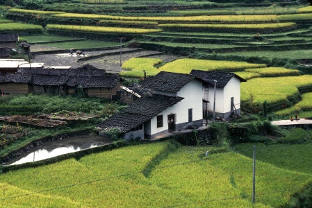 Farmhouse
Fujian, China