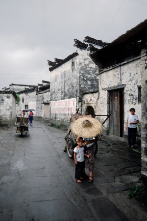 Tungxi Sen
Anhui, China