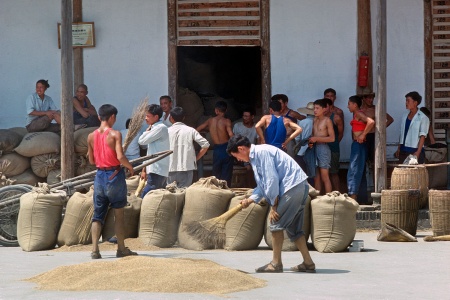 Grain Storage
Chengdu, China