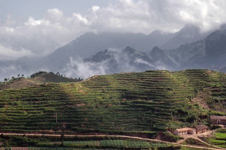 Jiuhua Mountain
Anhui, China
(Mui Ho photo)