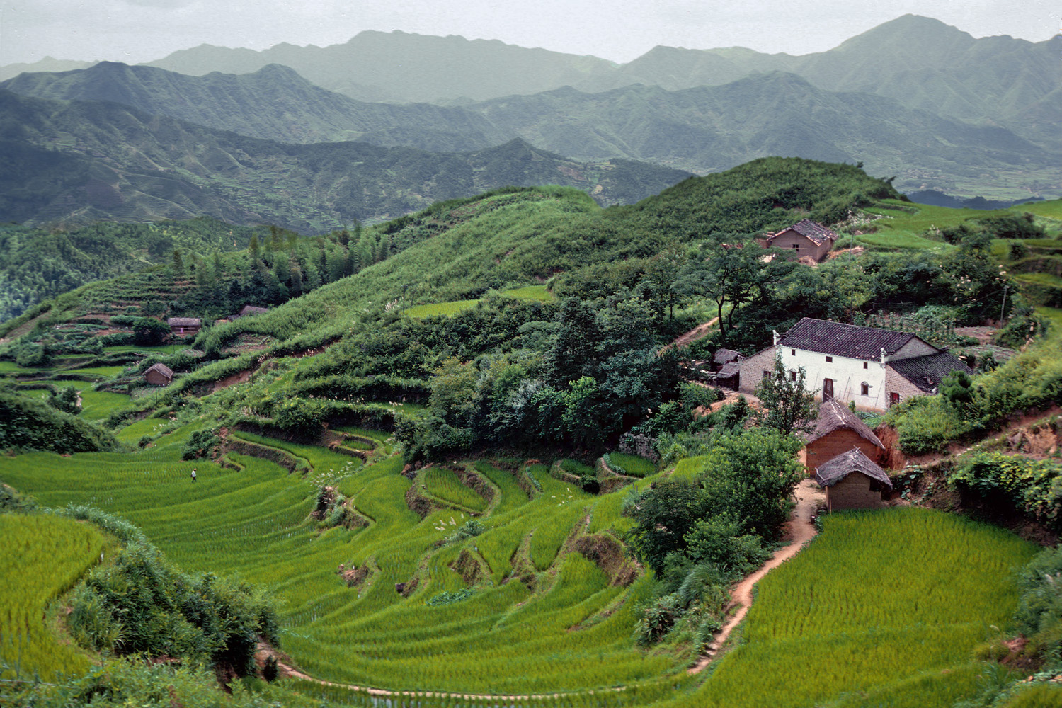 bill-hocker-jiuhuashan-anhui-china-1981