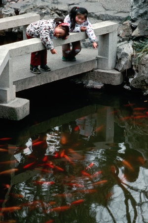 Coy, Public Park
Shanghai, China
