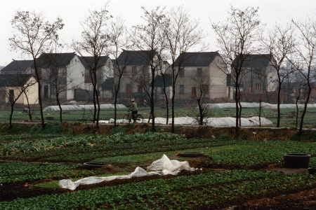 New Farm Houses
Near Suzhou, China
