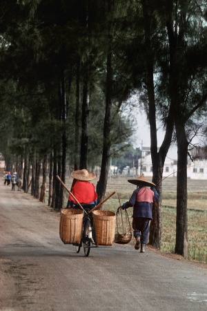 Off WorkNear Fushan, China