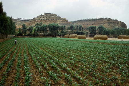 Brigade Farm
Near Xi'an, Shaanxi, China