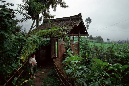 Farm Gate
Emei Mountain
Leshan, Sichuan, China
