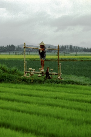 Field Pump
Hupai, China
