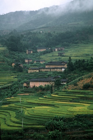 Rice terracesFujian, China