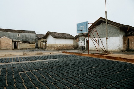 Drying BricksFushan, China