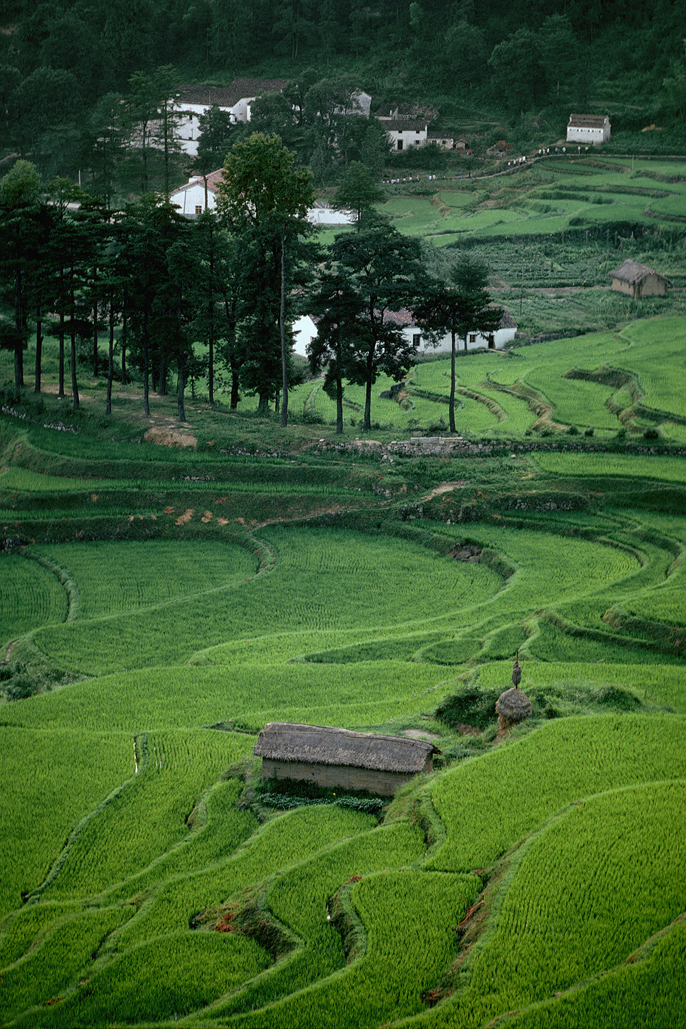 bill-hocker-pilgrims-jiuhuashan-anhui-china-1981