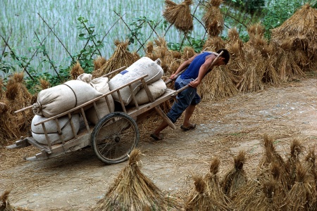 Hand Cart
Anhui, China
