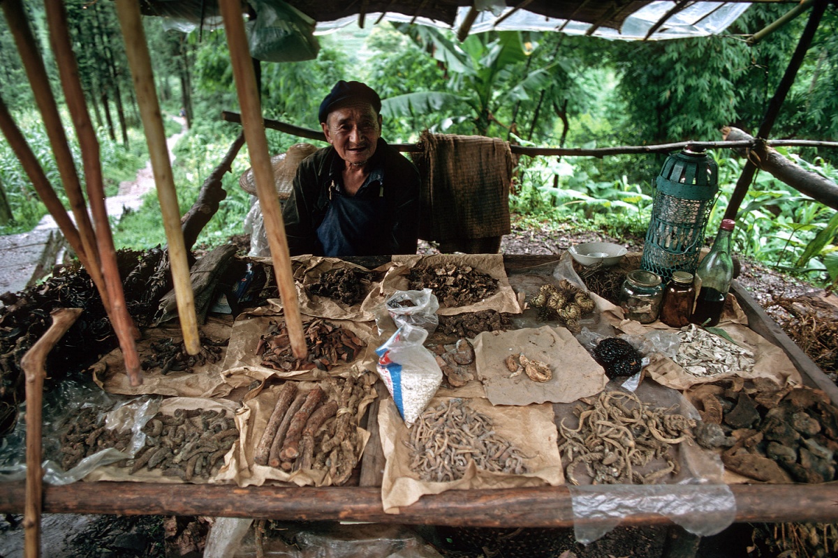 bill-hocker-remedies-emei-mountain-leshan-china-1981