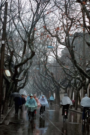 Rainy Street
Suzhou, China
