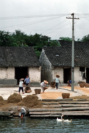 Threshing Bank
Shaoxing, Zhejiang, China 