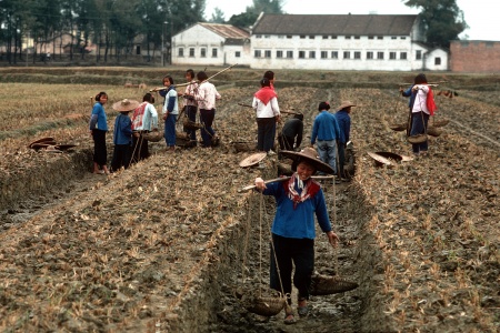 Commune Labor
Fushan, China

