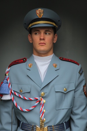 Castle Guard
Prague, Czech Republic